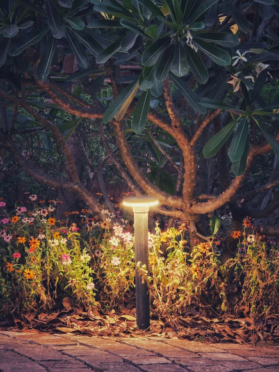Bollard path light flower bed columbia SC