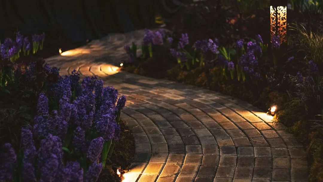 Curved brick paver walkway hyacinths path lights columbia SC
