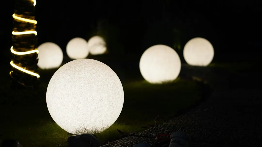 Glowing sphere lights lawn rope lit palm trunk columbia SC