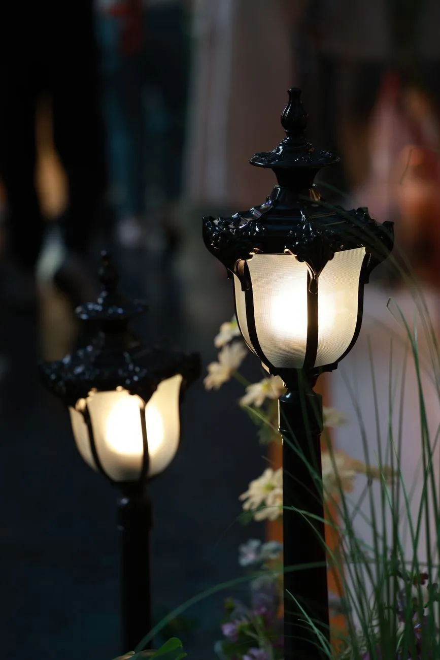 Ornate black lantern path lights daisies ornamental grass west columbia SC