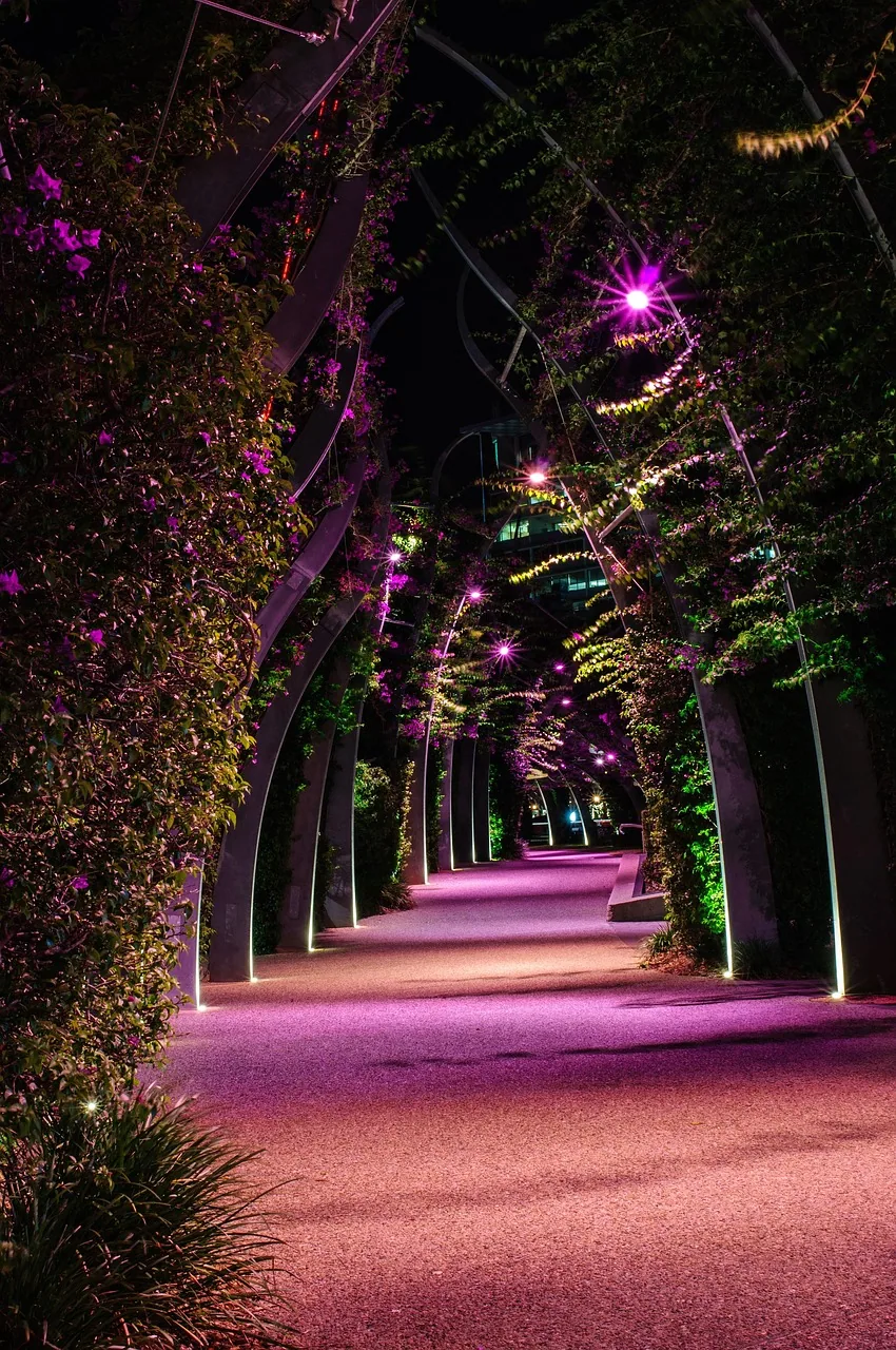 Purple lit arched pergola walkway bougainvillea night irmo SC