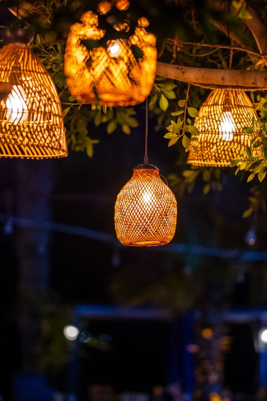 Woven rattan pendant lamps hanging tree branch night cayce SC